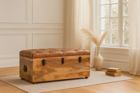 Buffalo - Leather Storage Trunk - Furniture Home Direct