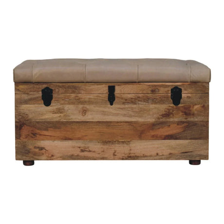 Buffalo - Leather Storage Trunk - Furniture Home Direct