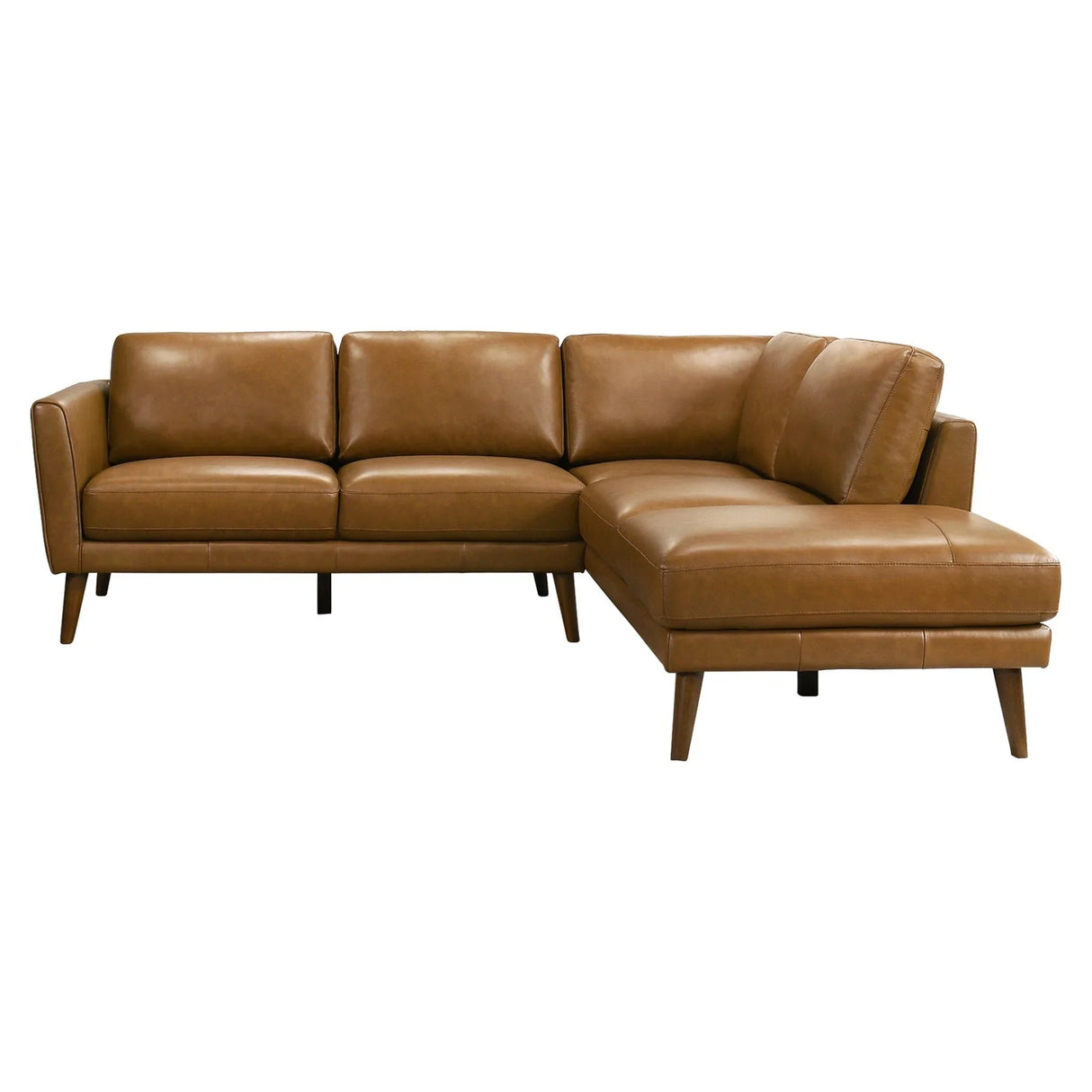 Benson - Sectional Sofa With Chaise - Furniture Home Direct