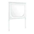 Brenda - Mirror With LED Lighting And Accent Detailing - Gray - Furniture Home Direct