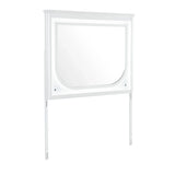 Brenda - Mirror With LED Lighting And Accent Detailing - Gray - Furniture Home Direct
