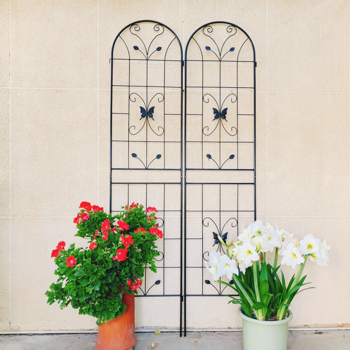 Garden Metal Trellis Rustproof Trellis For Climbing Plants Outdoor Flower Support - Furniture Home Direct