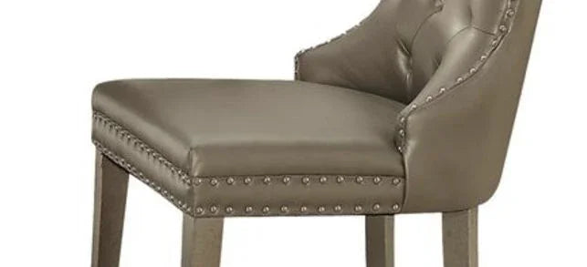 Kacela - Synthetic Leather Side Chair (Set of 2) - Champagne - Furniture Home Direct