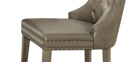Kacela - Synthetic Leather Side Chair (Set of 2) - Champagne - Furniture Home Direct