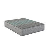 Comfort Care - 13" Hybrid Mattress, Plush Comfort - Furniture Home Direct