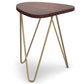 Patrice - Handcrafted Metal And Wood Accent Table - Furniture Home Direct