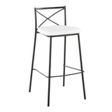 Modern Charlotte - Contemporary Fixed Height Barstool (Set of 2) - Furniture Home Direct