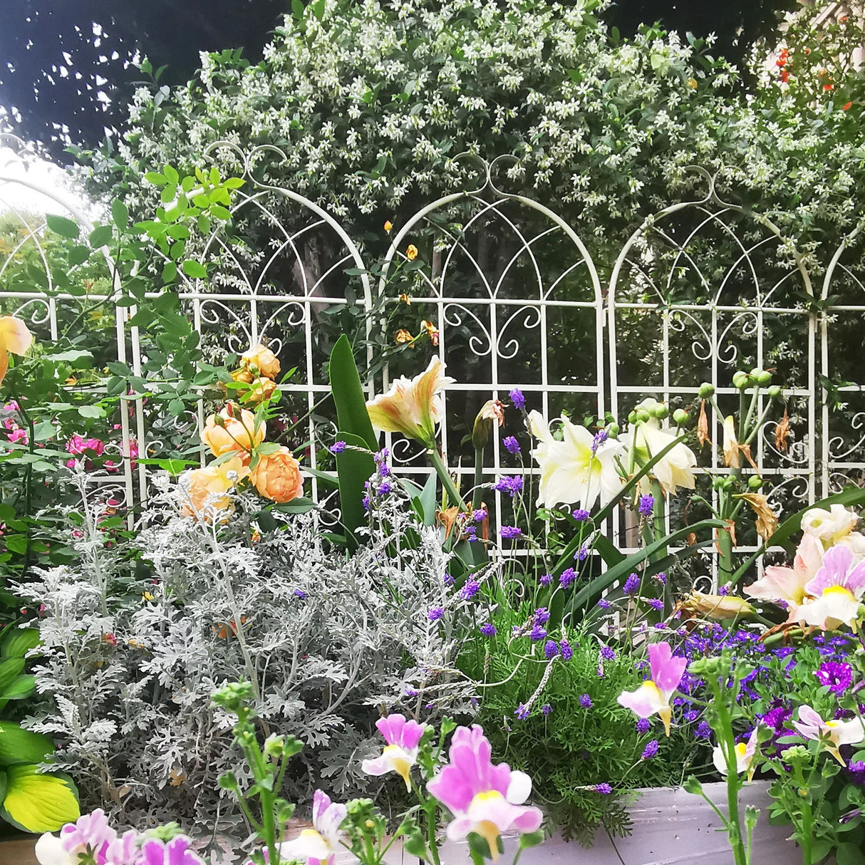 Metal Garden Rustproof Trellis For Climbing Plants Outdoor Flower Support - Furniture Home Direct