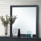 Primo - Mirror - Furniture Home Direct