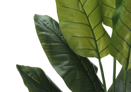 59" Tall, Artificial Plant, Strelitzia Tree, Indoor, Faux, Fake, Floor, Greenery, Potted, Real Touch, Decorative - Green / Black - Furniture Home Direct