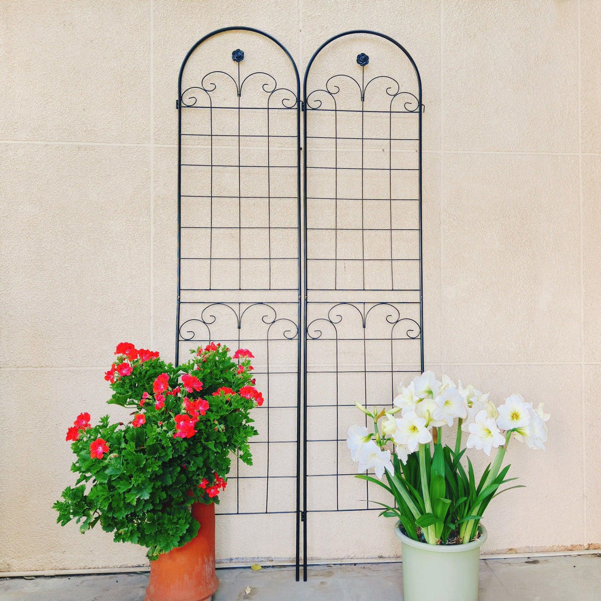 Metal Garden Trellis For Climbing Plants Outdoor Rustproof Plant Support Rose Trellis Netting Trellis - Furniture Home Direct