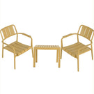 3 Piece Indoor / Outdoor Leisure Table And Chair Set