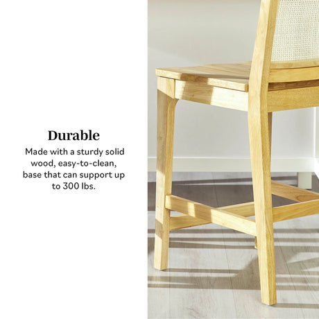 Transitional Counter Stool (Set of 2) - Natural - Furniture Home Direct