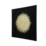 Camilla - Square Shadow Box Wall Decor - Black White - Furniture Home Direct