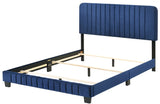 Lodi - Bed - Furniture Home Direct