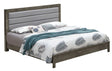 Transitional Modern Design Bed - Furniture Home Direct
