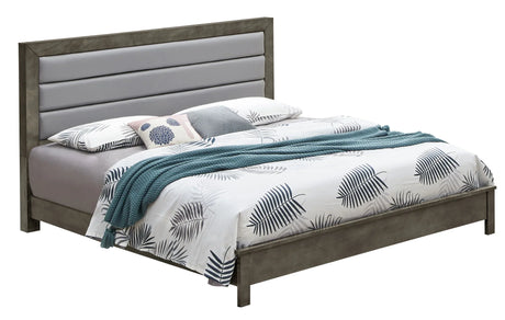 Transitional Modern Design Bed - Furniture Home Direct