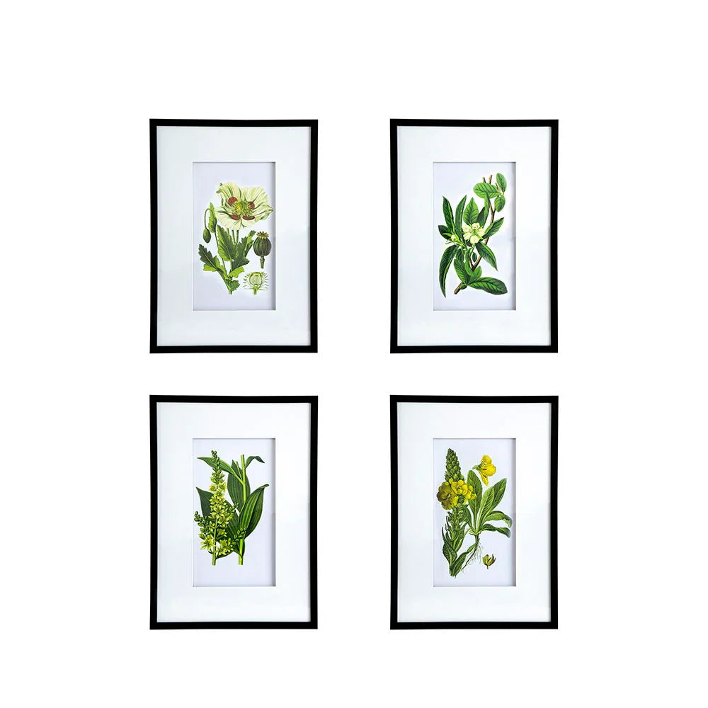 Botanical Flower Wall Art, Home Decor For Living Room Dining Room, Bedroom, Hallway (Set of 4) - White / Blue - Furniture Home Direct
