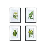 Botanical Flower Wall Art, Home Decor For Living Room Dining Room, Bedroom, Hallway (Set of 4) - White / Blue - Furniture Home Direct