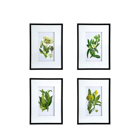 Botanical Flower Wall Art, Home Decor For Living Room Dining Room, Bedroom, Hallway (Set of 4) - White / Blue - Furniture Home Direct
