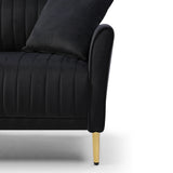 Black Velvet 2 Piece Living Room Set with Metal Legs and pillows - Black - Furniture Home Direct