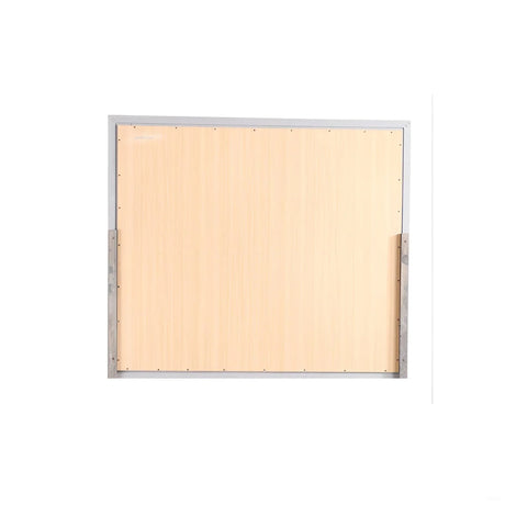 Alana - Mirror - Silver Champagne - Furniture Home Direct