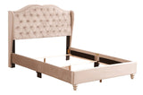 Upholstered Velvet Bed Transitional - Furniture Home Direct