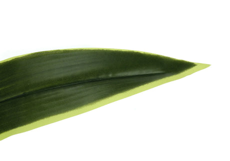 47" Tall, Artificial Plant, Dracaena Tree, Indoor, Faux, Fake, Floor, Greenery, Potted, Real Touch, Decorative - Green / Black - Furniture Home Direct