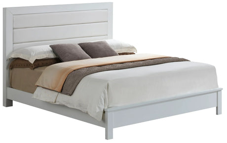 Transitional Modern Design Bed - Furniture Home Direct