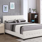 Stylish Transitional Bed - Furniture Home Direct