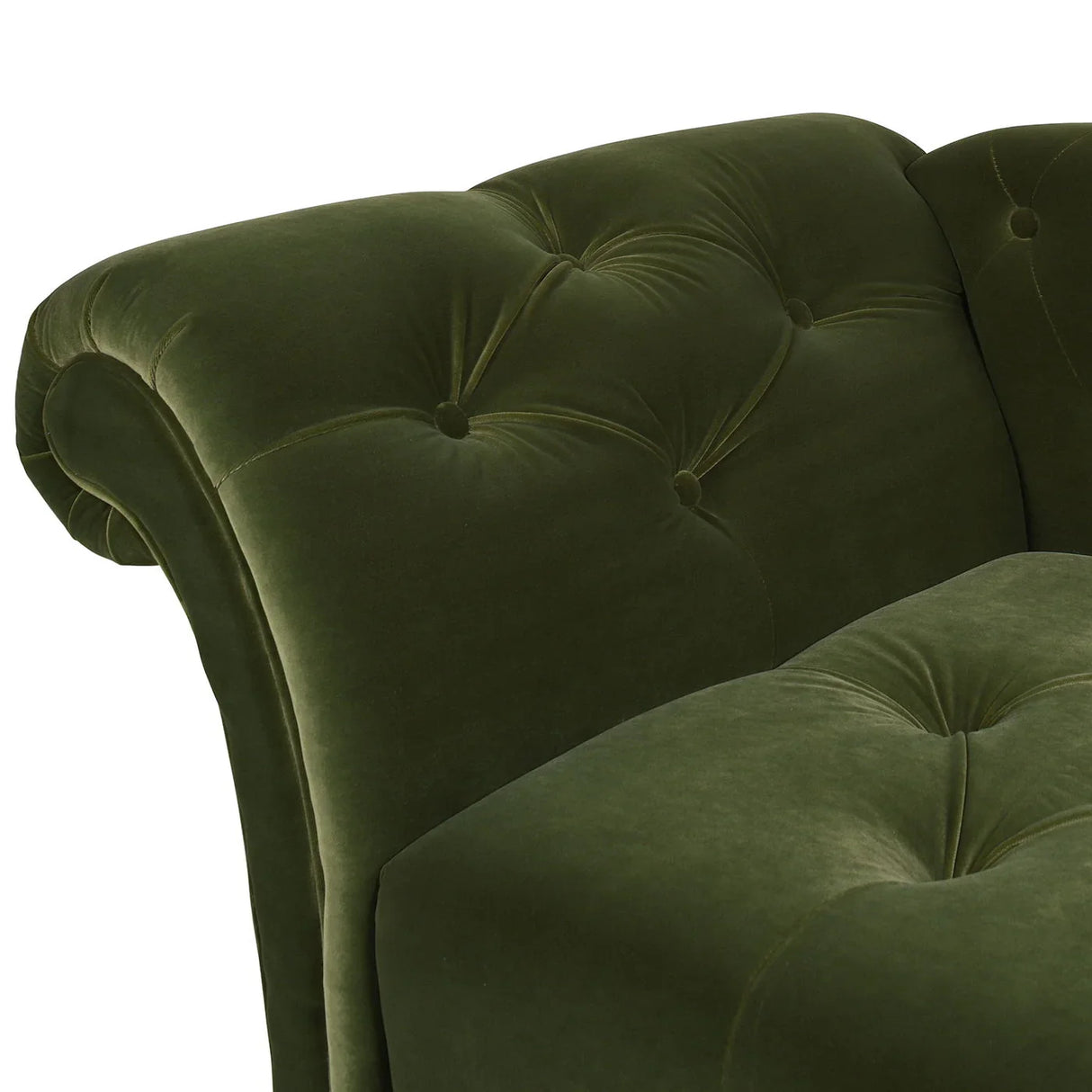 Samuel - Tufted Roll Arm Chaise Lounge - Furniture Home Direct