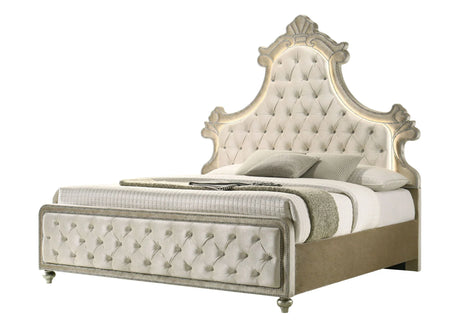 Lucienne - Bed With LED Lighting - Furniture Home Direct