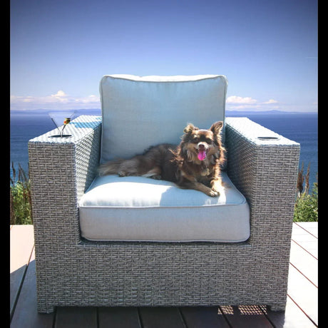 Patio Chair With Cushions - Gray - Furniture Home Direct