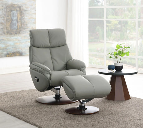 Kandoro - Top Grain Leather Accent Chair With Swivel & Ottoman - Gray - Furniture Home Direct