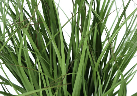 23" Tall, Artificial Plant, Grass, Indoor, Faux, Fake, Table, Greenery, Potted, Real Touch, Decorative - Green / Black - Furniture Home Direct