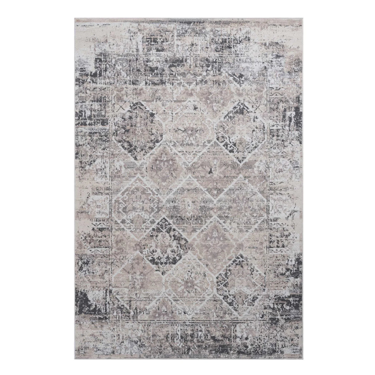 Payas - Traditional Area Rug - Furniture Home Direct