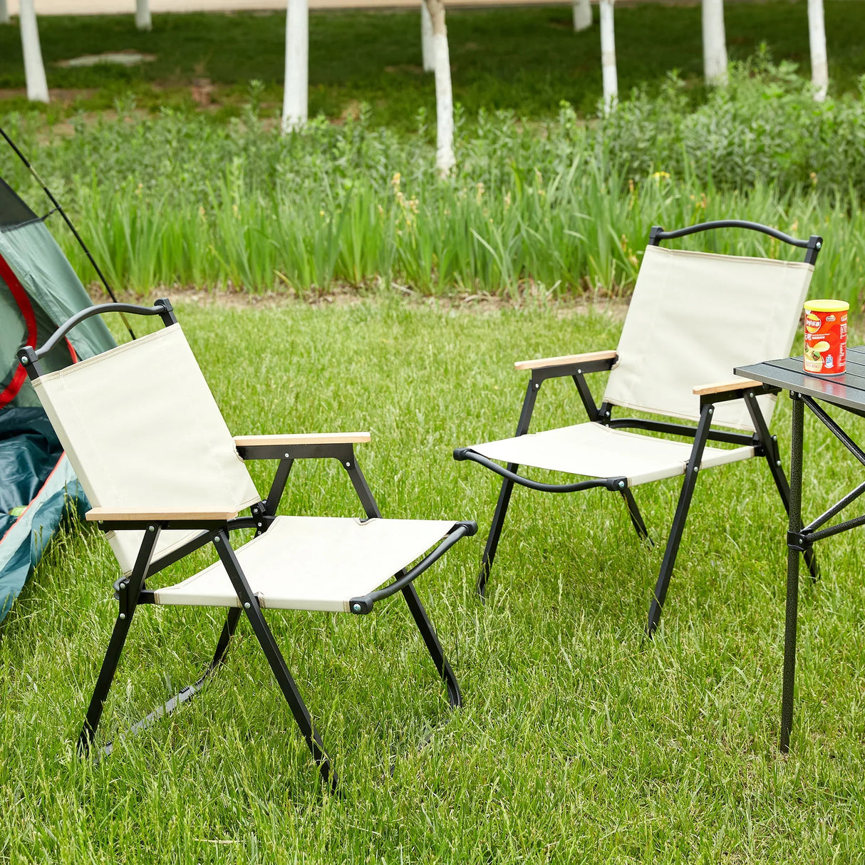 Folding Outdoor Chair For Indoor, Outdoor Camping, Picnics, Beach, Backyard, Bbq, Party, Patio - Furniture Home Direct