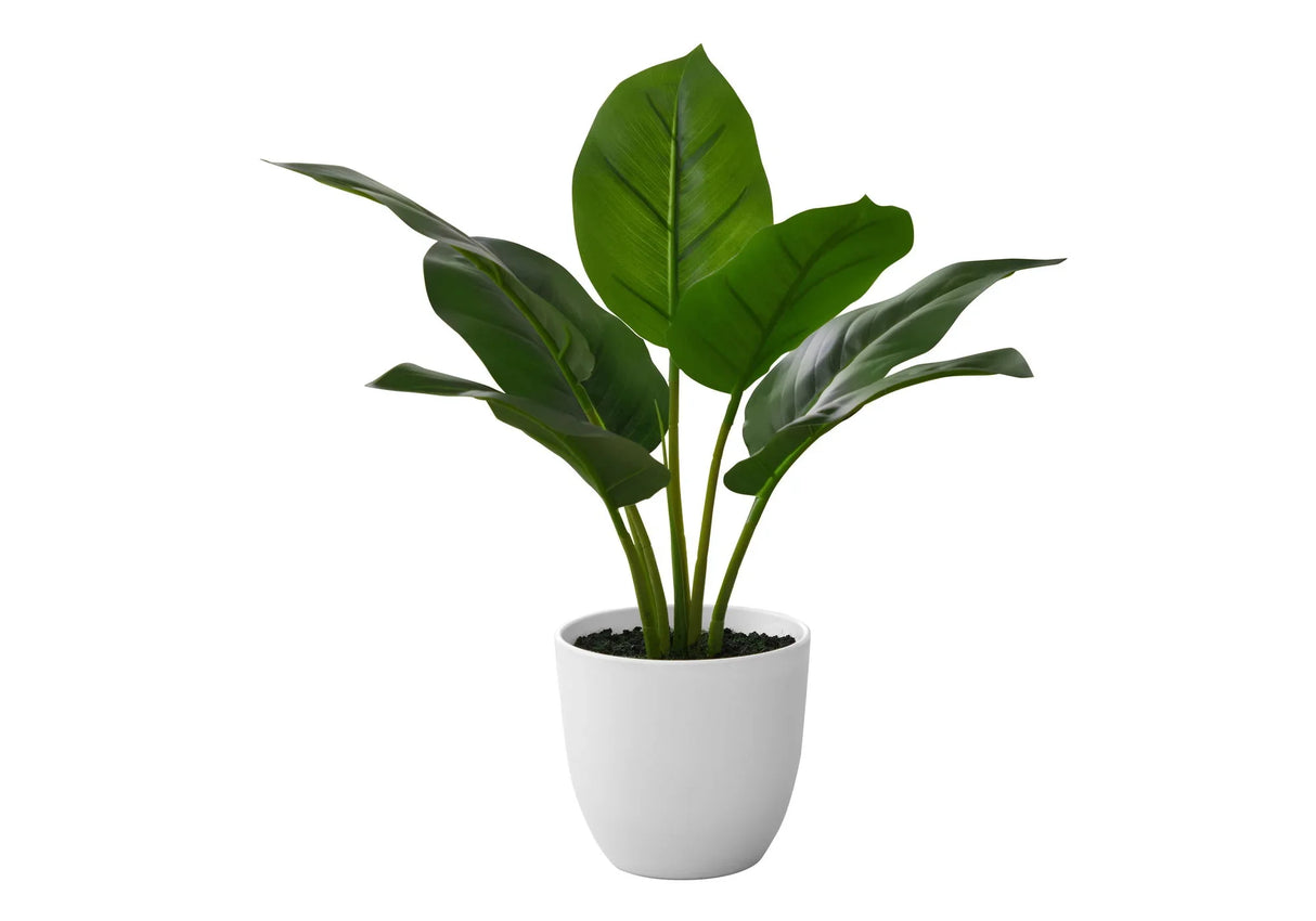 17" Tall, Artificial Plant, Aureum, Indoor, Faux, Fake, Table, Greenery, Potted, Real Touch, Decorative - Green / White - Furniture Home Direct