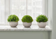 5" Tall, Artificial Plant, Grass, Indoor, Faux, Fake, Table, Greenery, Potted, Decorative (Set of 3) - Green / Gray - Furniture Home Direct