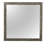 Modern Design Transitional Wall Mirror - Furniture Home Direct