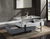 Wilkins - High Gloss Coffee Table With Lift Top - Gray / White - Furniture Home Direct