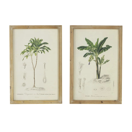 Tree Framed Print (Set of 2) - Multicolor - Furniture Home Direct