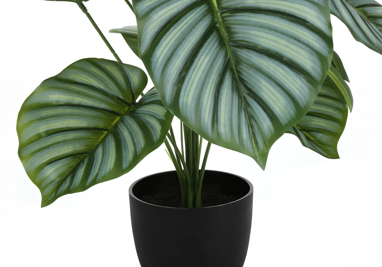 24" Tall, Artificial Plant, Calathea, Indoor, Faux, Fake, Table, Greenery, Potted, Real Touch, Decorative - Green / Black - Furniture Home Direct
