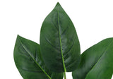 17" Tall, Artificial Plant, Aureum, Indoor, Faux, Fake, Table, Greenery, Potted, Real Touch, Decorative - Green / White - Furniture Home Direct