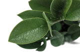20" Tall, Artificial Plant, Zz, Indoor, Faux, Fake, Table, Greenery, Potted, Real Touch, Decorative - Green / Gray - Furniture Home Direct