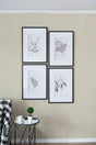 Botanical Wall Art Prints, Home Decor For Living Room Dining Room, Bedroom, Hallway (Set of 4) - White / Black - Furniture Home Direct