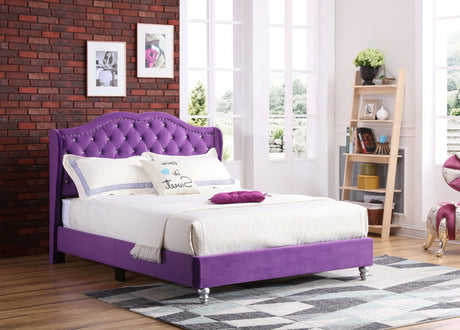 Upholstered Velvet Bed Transitional - Furniture Home Direct