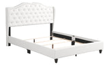 Upholstered Velvet Bed Transitional - Furniture Home Direct