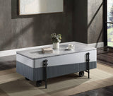 Wilkins - High Gloss Coffee Table With Lift Top - Gray / White - Furniture Home Direct