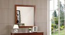 Modern Design Transitional Wall Mirror - Furniture Home Direct